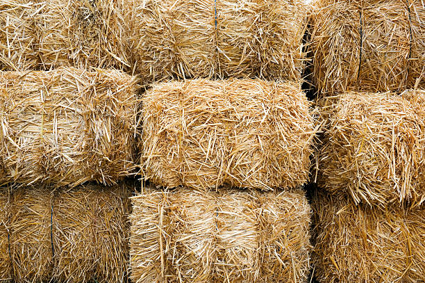 straw
